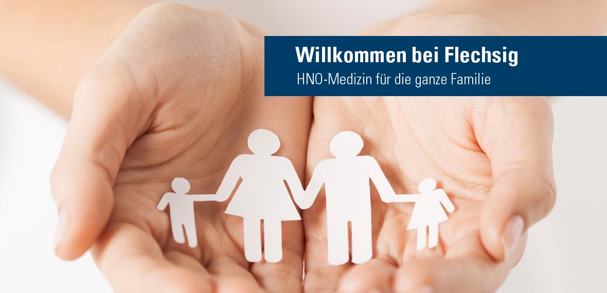 FlechsigTitel1