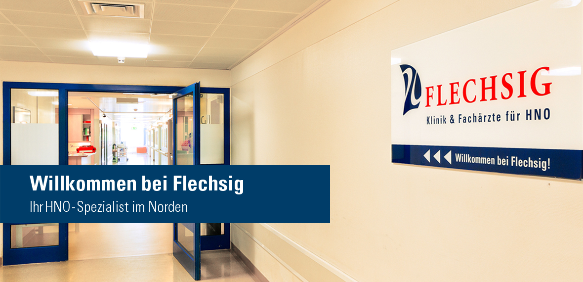 FlechsigTitel5