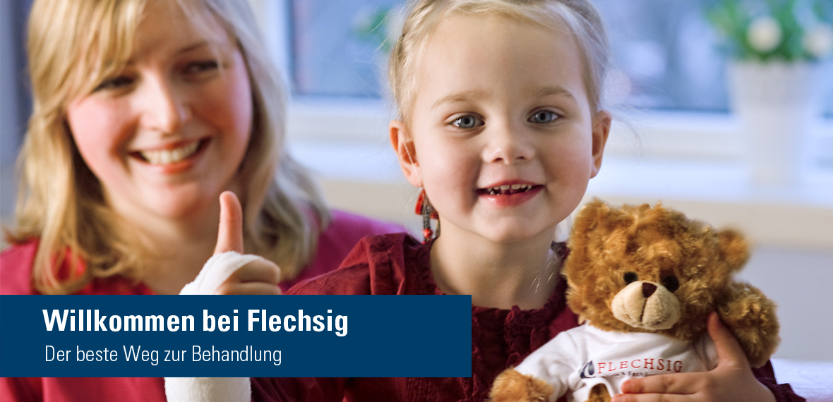 FlechsigTitel6